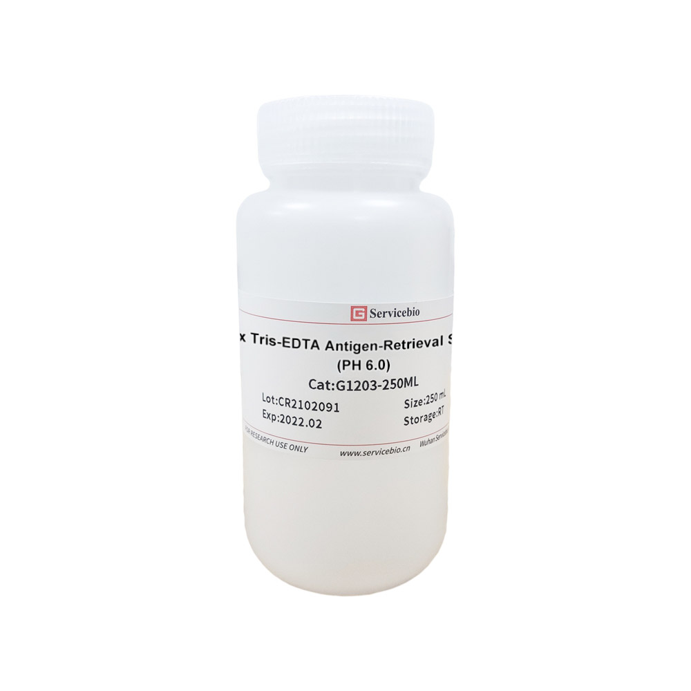 20 Times Tris EDTA Antigen Retrieval Solution PH 9 0 Buffer From