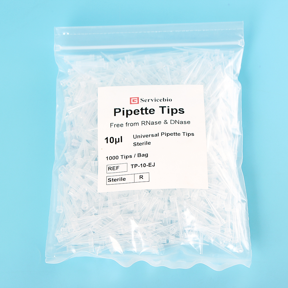 TP-10-J Labware Hot Sale 10μL Bagged Pipette Tips from China manufacturer -  Servicebio