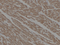 //rlrorwxhrkinln5q-static.micyjz.com/cloud/liBpjKnjlkSRqipprkmmip/93829634df69e27c77ea7ecb1ceb0752-60-60.png