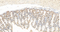 //rlrorwxhrkinln5q-static.micyjz.com/cloud/liBpjKnjlkSRqiqplkomip/1595312506688478025-6303-SEC238-mousejiechang-1-650_32-9x-60-60.jpg