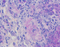 //rlrorwxhrkinln5q-static.micyjz.com/cloud/ljBpjKnjlkSRqimpqmmoim/G1047-100ML-60-60.jpg