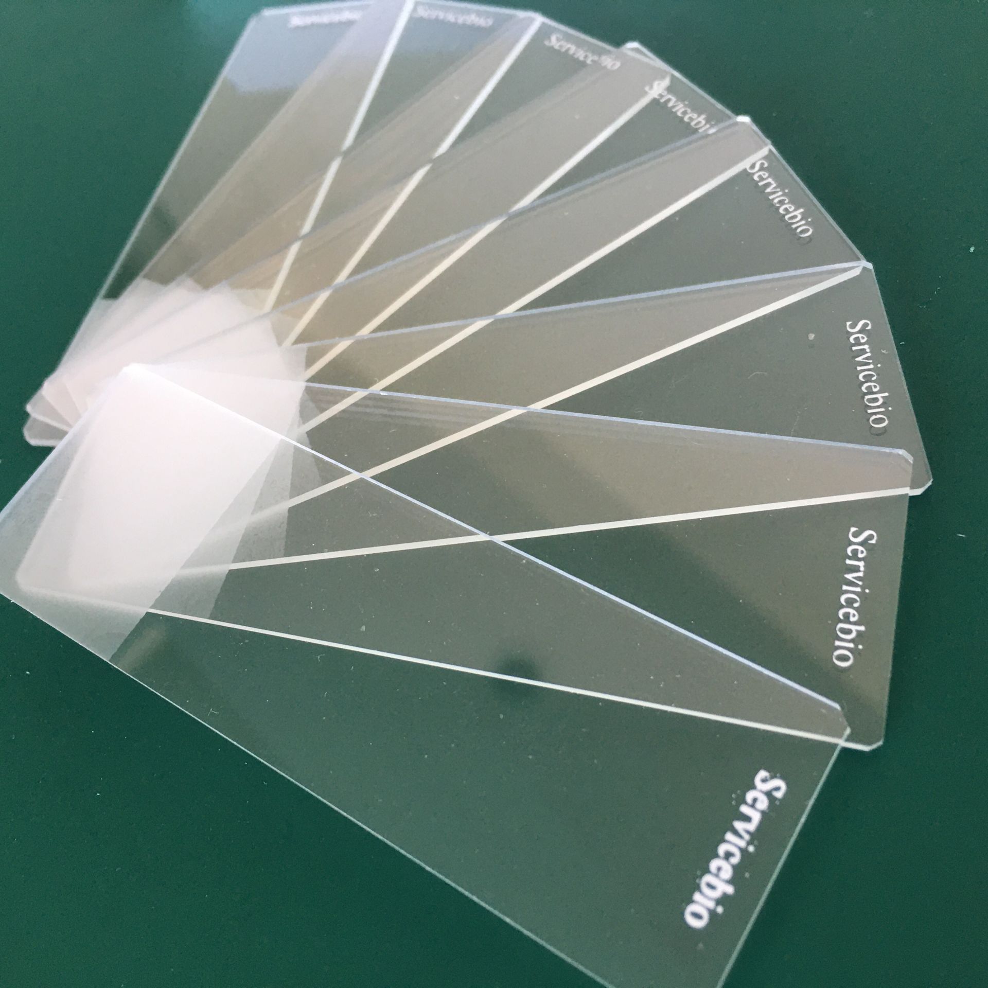 Adhesion Sample Slides Frozen Section Microscope Slides from China ...