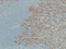 //rlrorwxhrkinln5q-static.micyjz.com/cloud/ljBpjKnjlkSRqippnknmip/f232726775d4770ef84ebcc4443efdb8-60-60.png