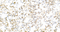 //rlrorwxhrkinln5q-static.micyjz.com/cloud/ljBpjKnjlkSRqippojnmip/1598842289514149230-60-60.jpg