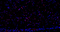 //rlrorwxhrkinln5q-static.micyjz.com/cloud/ljBpjKnjlkSRqiqpnkkjiq/1595316269645672418-mnao-rb12-IF-6325-1-700-_32-4x-60-60.jpg