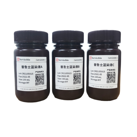 G1029 Prussian Blue Staining Solution Prussian Blue Kit from China ...