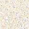 //rlrorwxhrkinln5q-static.micyjz.com/cloud/llBpjKnjlkSRqippkjrmiq/a6bec994612a1cba0c90a9ef7d23876f-60-60.jpg