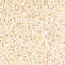 //rlrorwxhrkinln5q-static.micyjz.com/cloud/lmBpjKnjlkSRqippqriiio/a1ed98c485caf9d749bb12a3aa459280-60-60.jpg