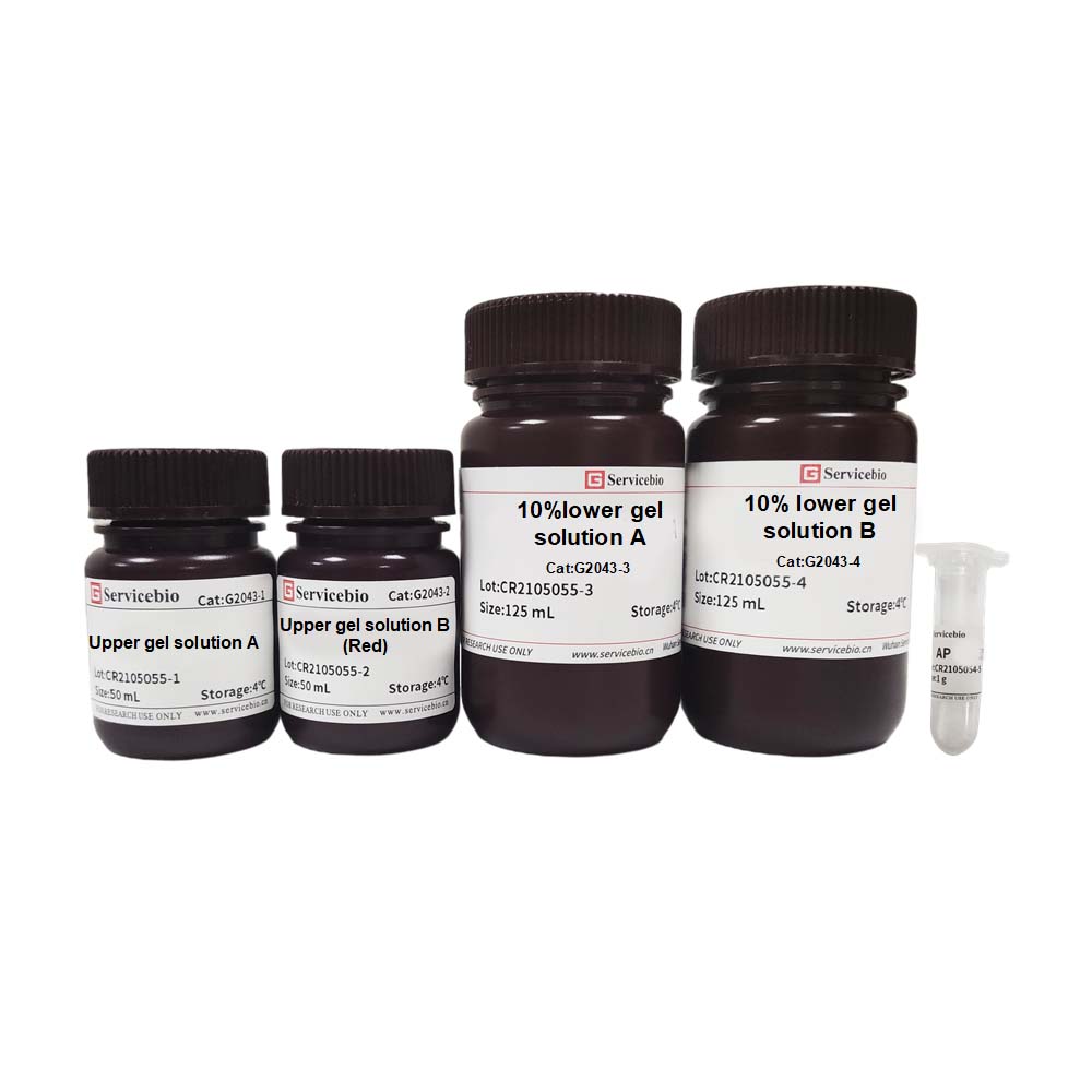 10% SDS-PAGE Colored (red) Gel Ultra-fast Preparation Kit G2043-50T