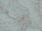 //rlrorwxhrkinln5q-static.micyjz.com/cloud/lqBpjKnjlkSRqippnkrmiq/a8cf0107695f9c465f7e51dc62ac1e9b-60-60.png