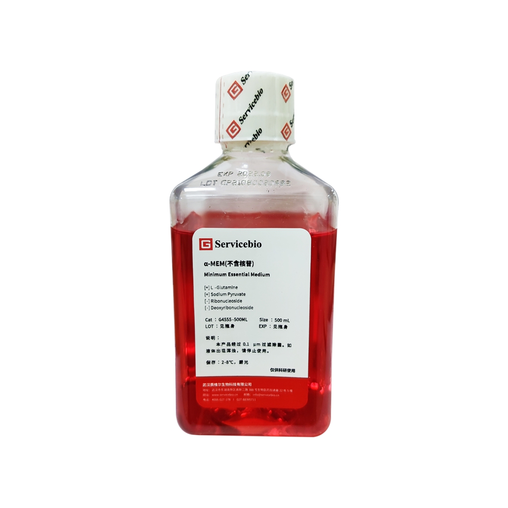 RPMI-1640 medium, GlutaMAX-I supplement, HEPES, contains sodium pyruvate Cell Culture Media