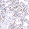 //rlrorwxhrkinln5q-static.micyjz.com/cloud/lrBpjKnjlkSRqippijpmip/7086f67377e965074c8097b2c0e86163-60-60.jpg