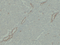 //rlrorwxhrkinln5q-static.micyjz.com/cloud/lrBpjKnjlkSRqippkkrliq/0585183ef73fb2c8ec370798840ab810-60-60.png