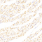 //rlrorwxhrkinln5q-static.micyjz.com/cloud/lrBpjKnjlkSRqippljkiiq/775d329efac548d9b7318c4764848550-60-60.jpg
