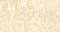 //rlrorwxhrkinln5q-static.micyjz.com/cloud/lrBpjKnjlkSRqippminnip/1598841696413823066-60-60.jpg