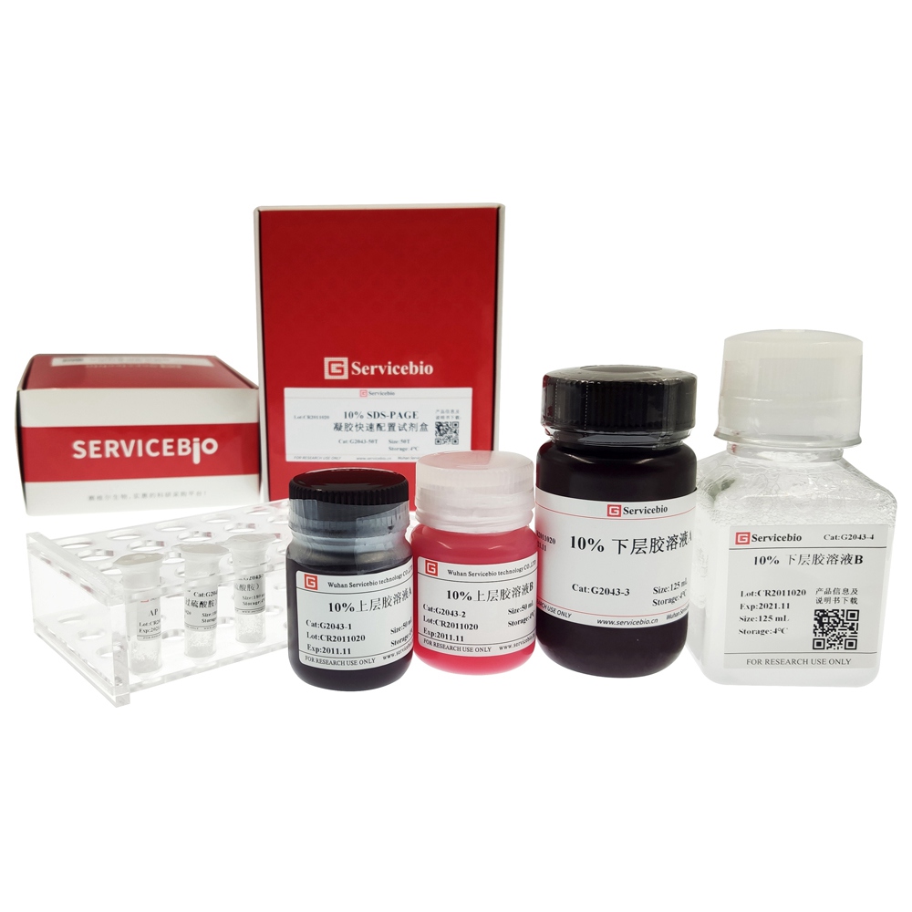 10% SDS-PAGE Colored (red) Gel Ultra-fast Preparation Kit G2043-50T